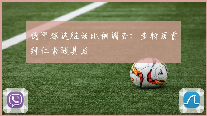 德甲球迷脏话比例调查：多特居首拜仁紧随其后