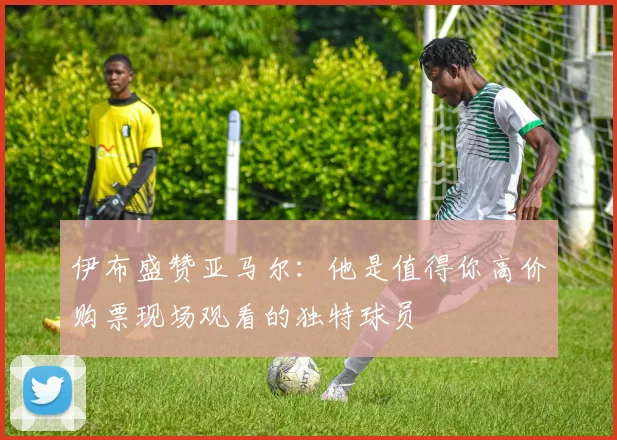 伊布盛赞亚马尔：他是值得你高价购票现场观看的独特球员